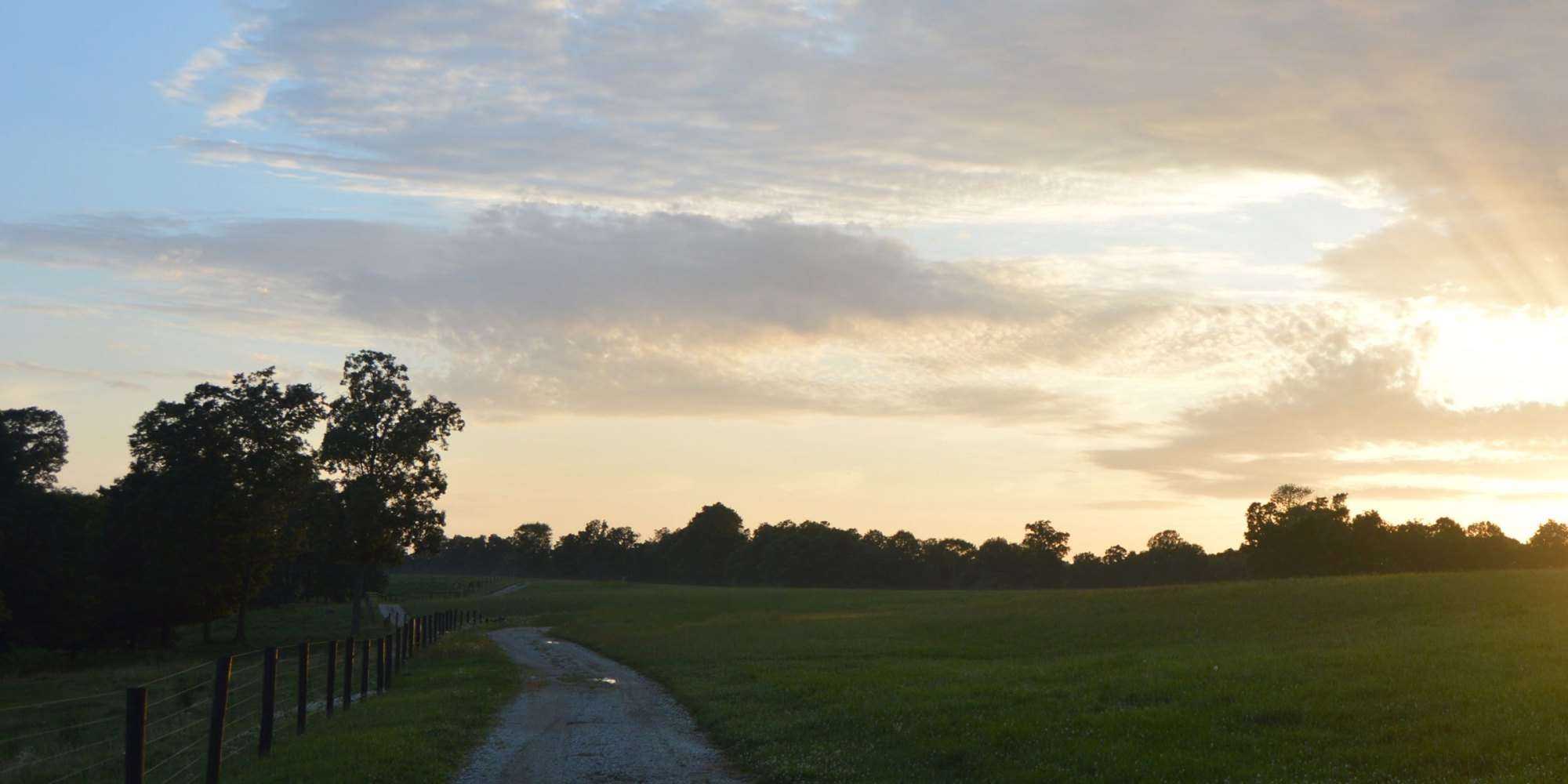 2018: The Year of Intention