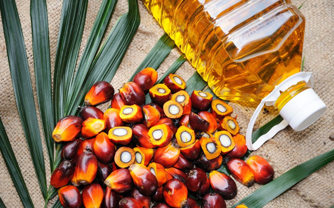 Let’s Talk About Palm Oil