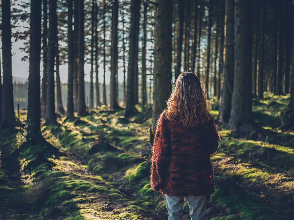 A young woman is standing in a forest at sunset