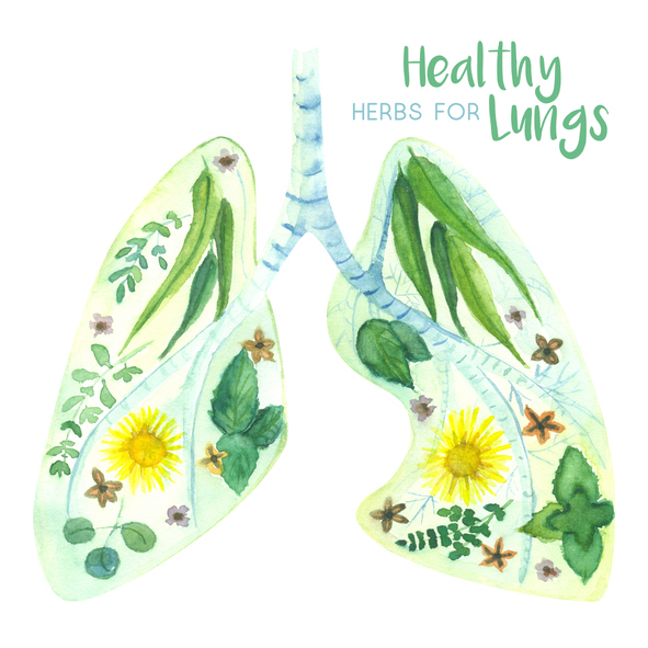 Herbs for Lung Health After Smog