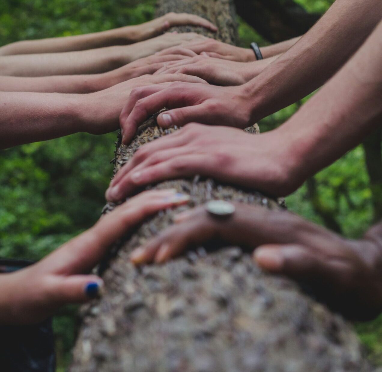 Pillars of Lifestyle Medicine: Social Connection