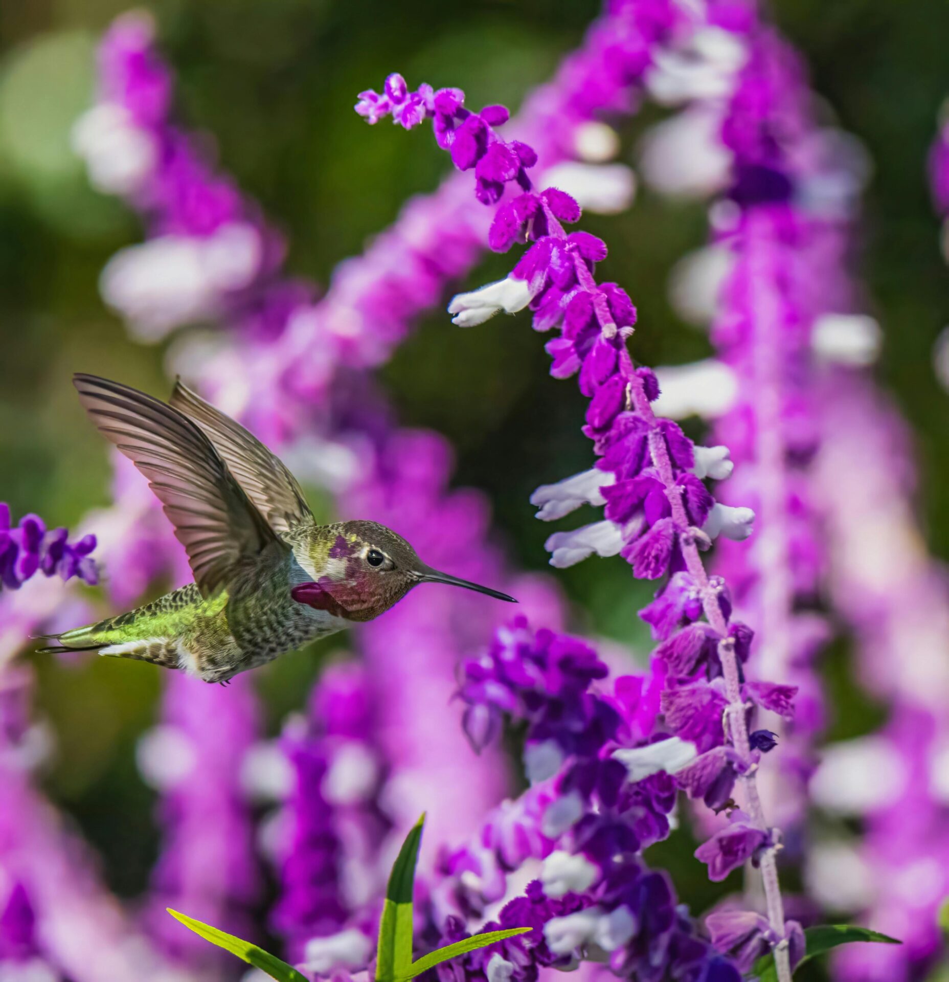 Awe and the Practice of Presence